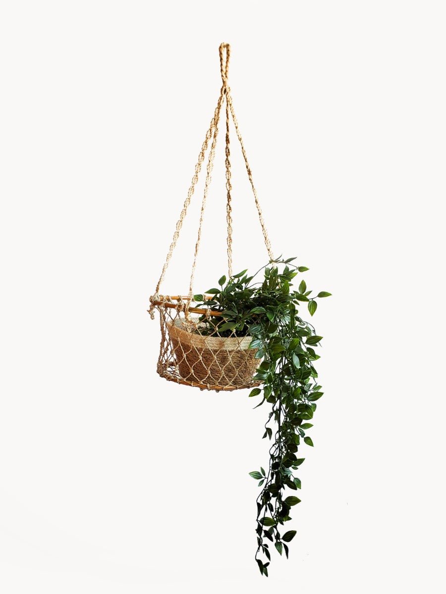 Jhuri Single Hanging Basket - BlueBreeze
