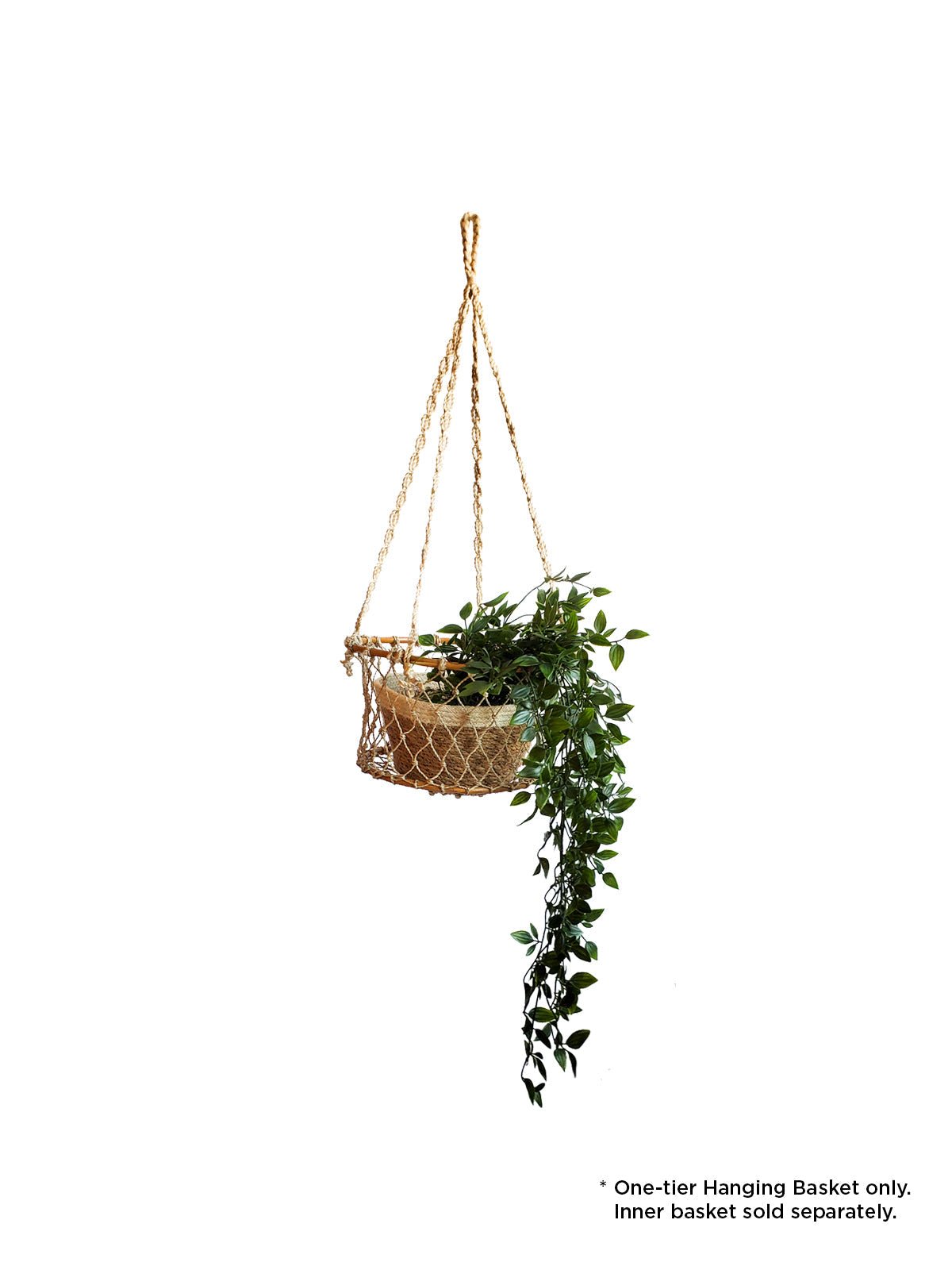 Jhuri Single Hanging Basket - BlueBreeze