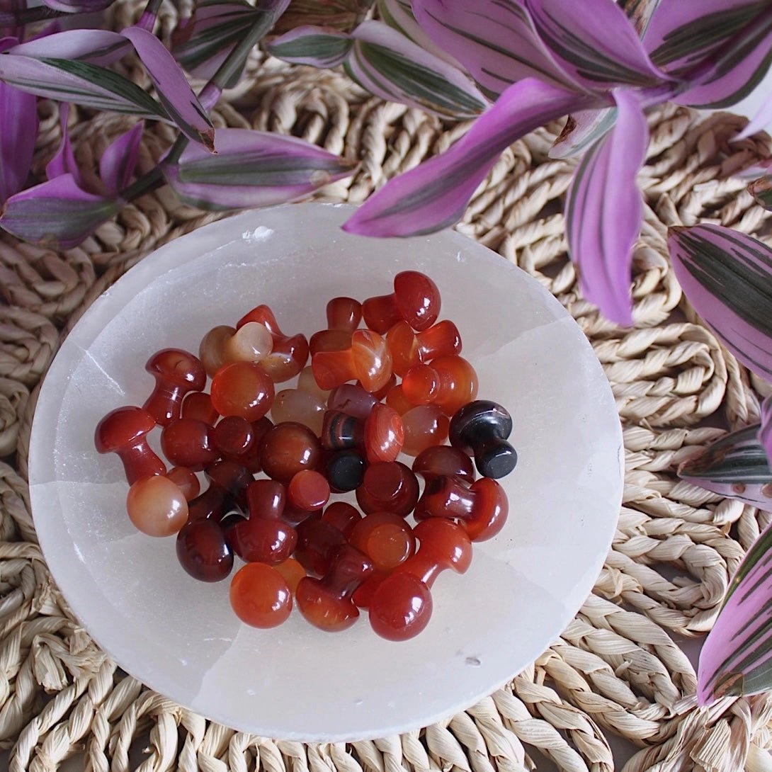Mini Crystal Mushrooms, Carnelian - BlueBreeze