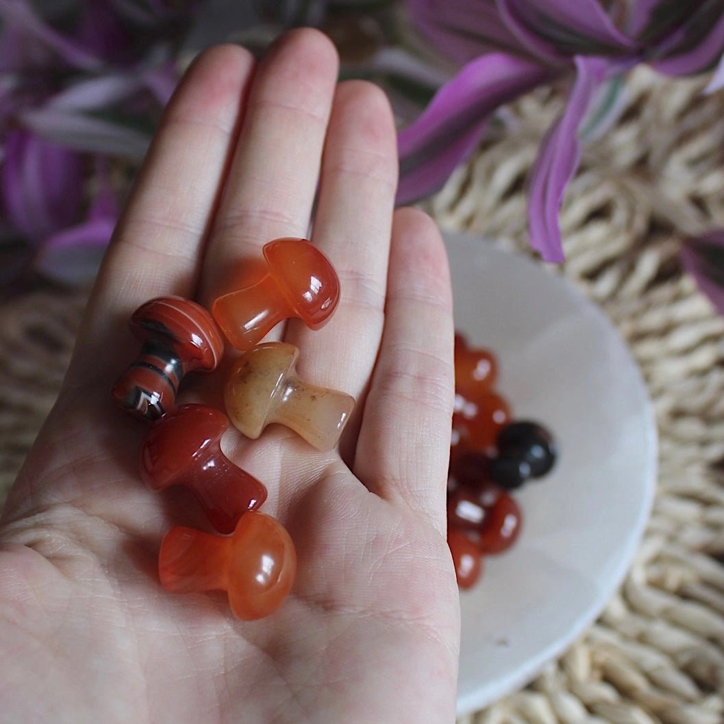 Mini Crystal Mushrooms, Carnelian - BlueBreeze