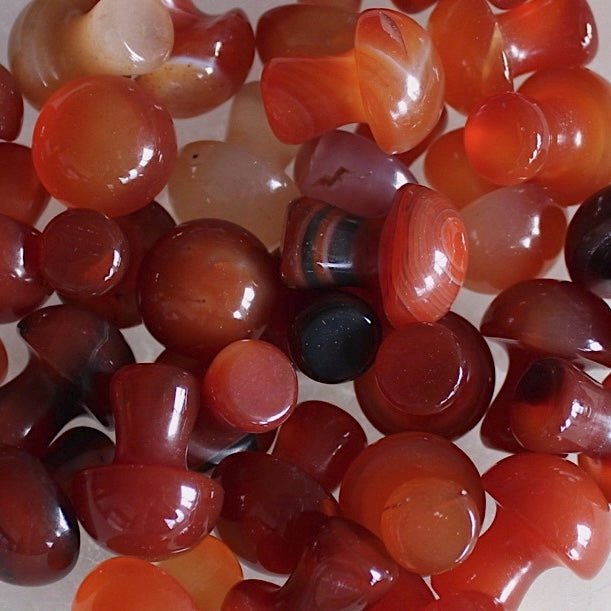 Mini Crystal Mushrooms, Carnelian - BlueBreeze