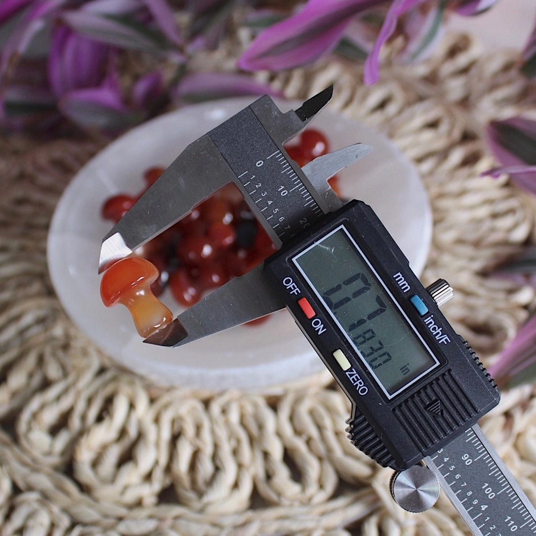 Mini Crystal Mushrooms, Carnelian - BlueBreeze