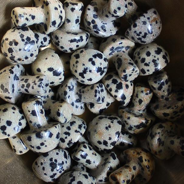 Mini Crystal Mushrooms, Dalmatian Jasper - BlueBreeze