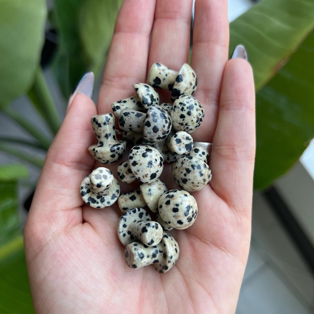 Mini Crystal Mushrooms, Dalmatian Jasper - BlueBreeze