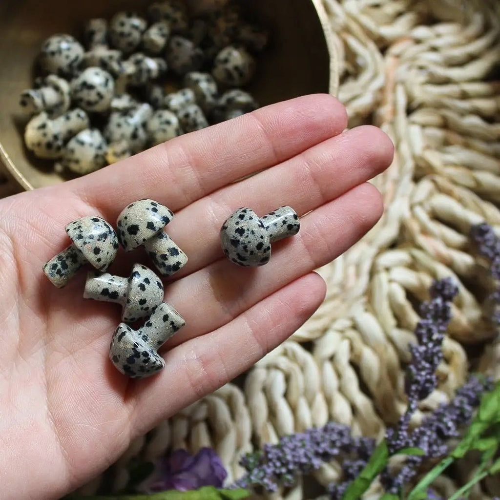 Mini Crystal Mushrooms, Dalmatian Jasper - BlueBreeze