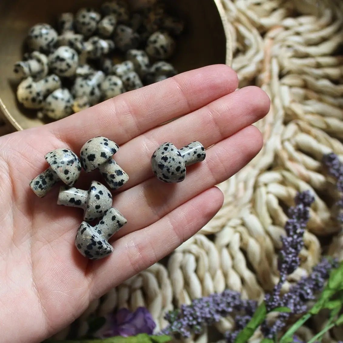 Mini Crystal Mushrooms, Dalmatian Jasper - BlueBreeze