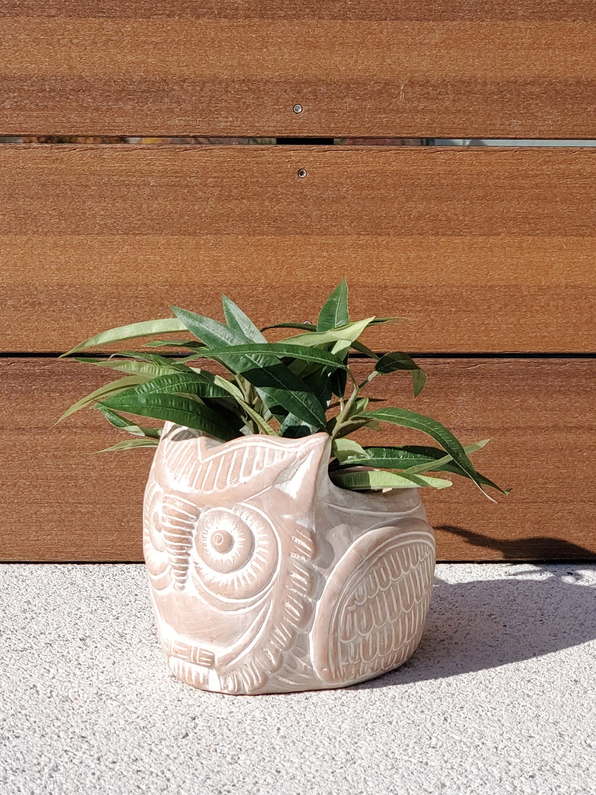 Terracotta Pot - Horned Owl - BlueBreeze