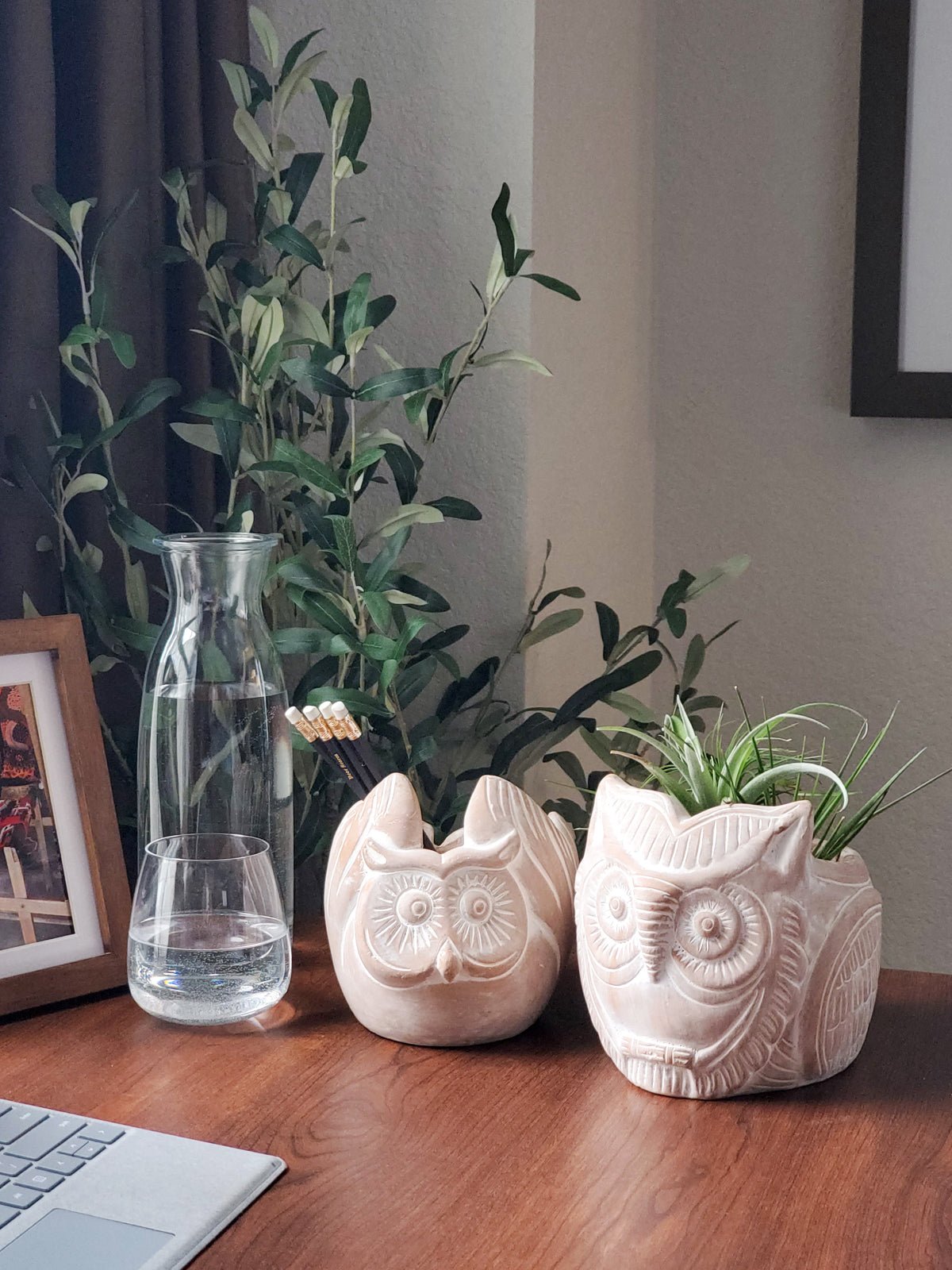 Terracotta Pot - Horned Owl - BlueBreeze